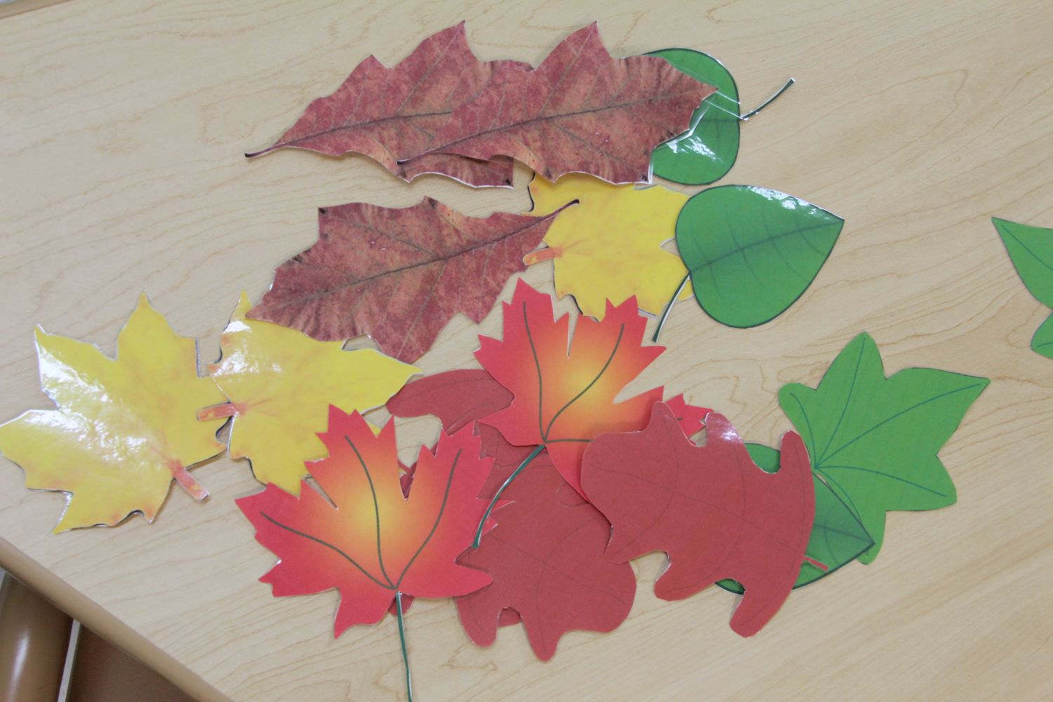 Several paper cutouts of leaves in different colors on top of a table.